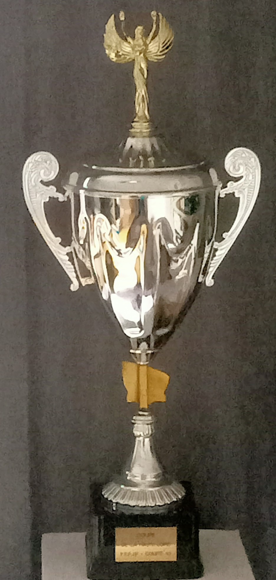 COUPE HAUTE LOIRE 2026 4